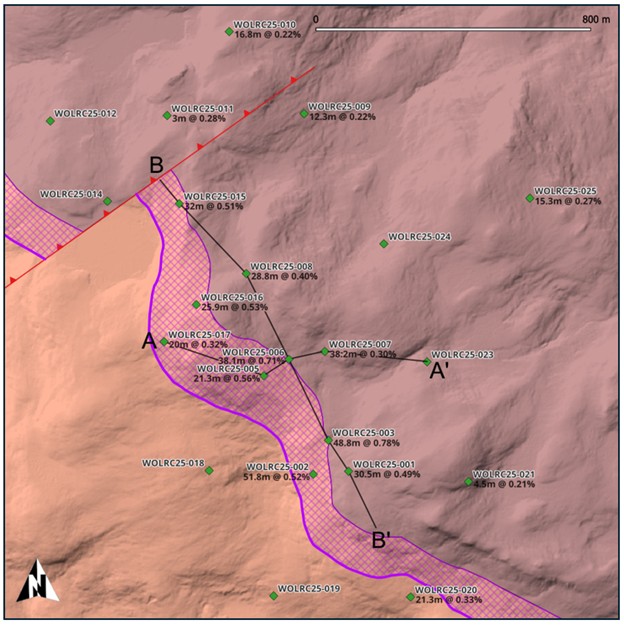 Figure 3 image