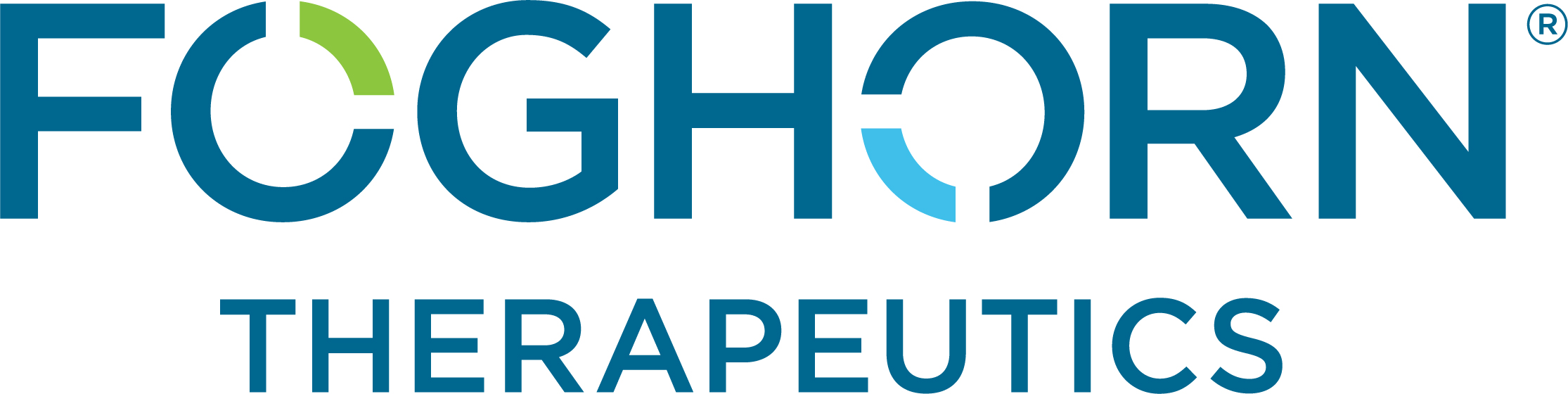 Foghorn Therapeutics Strengthens Leadership Team with Appointment of Anna Rivkin, Ph.D. as Chief Business Officer