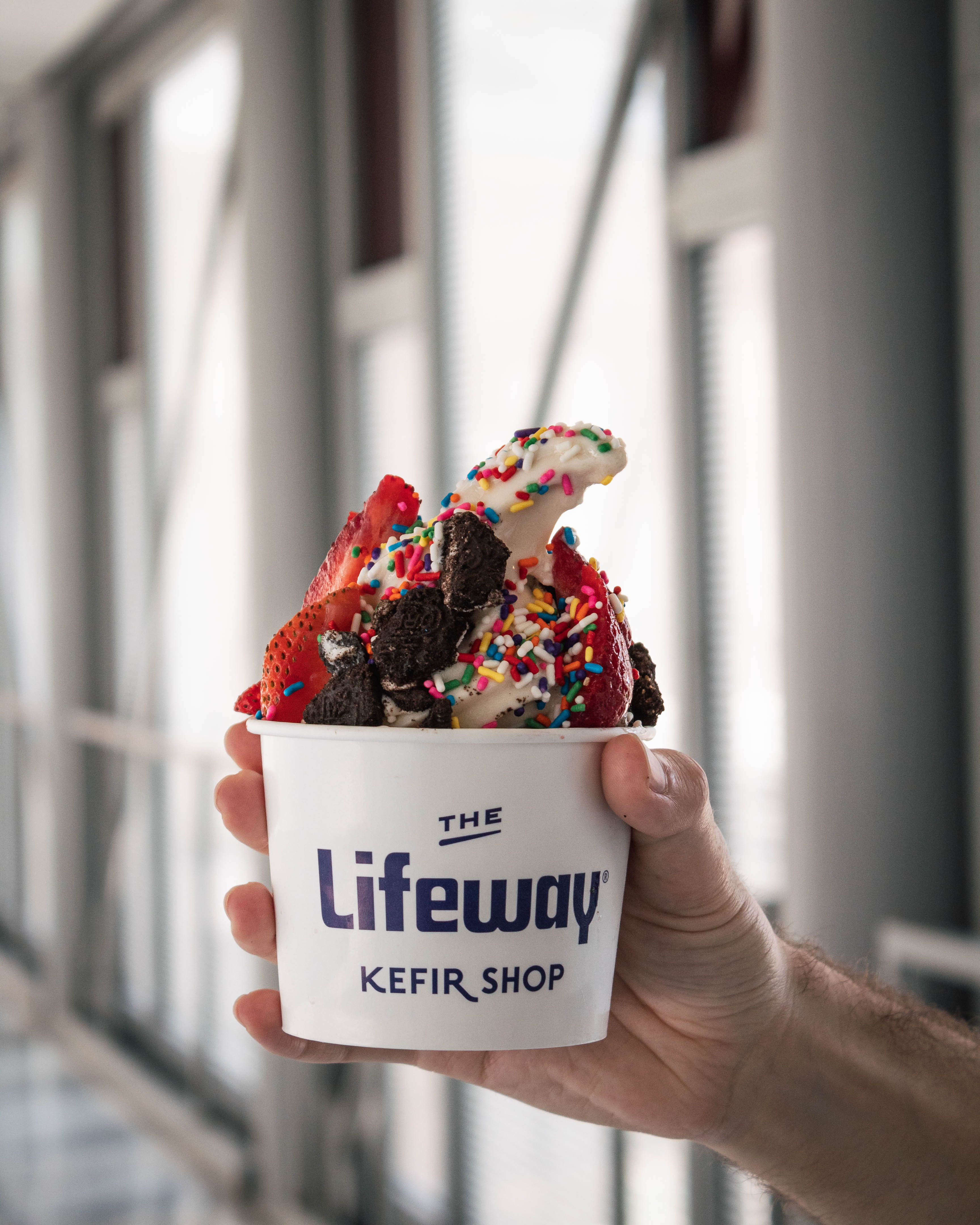 Frozen Plantiful Soft Serve from Lifeway Foods