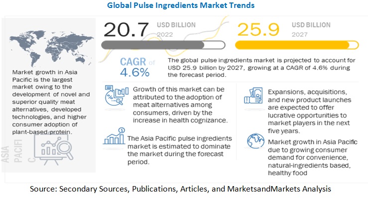 Asia-Pacific Leading the Pulse Ingredients Market: Growth Trends and Emerging Opportunities