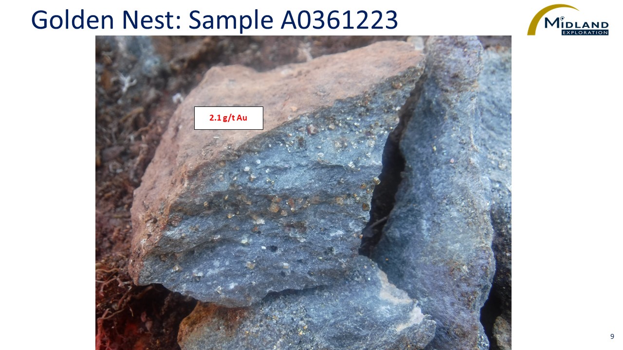 Golden Nest Sample A0361223