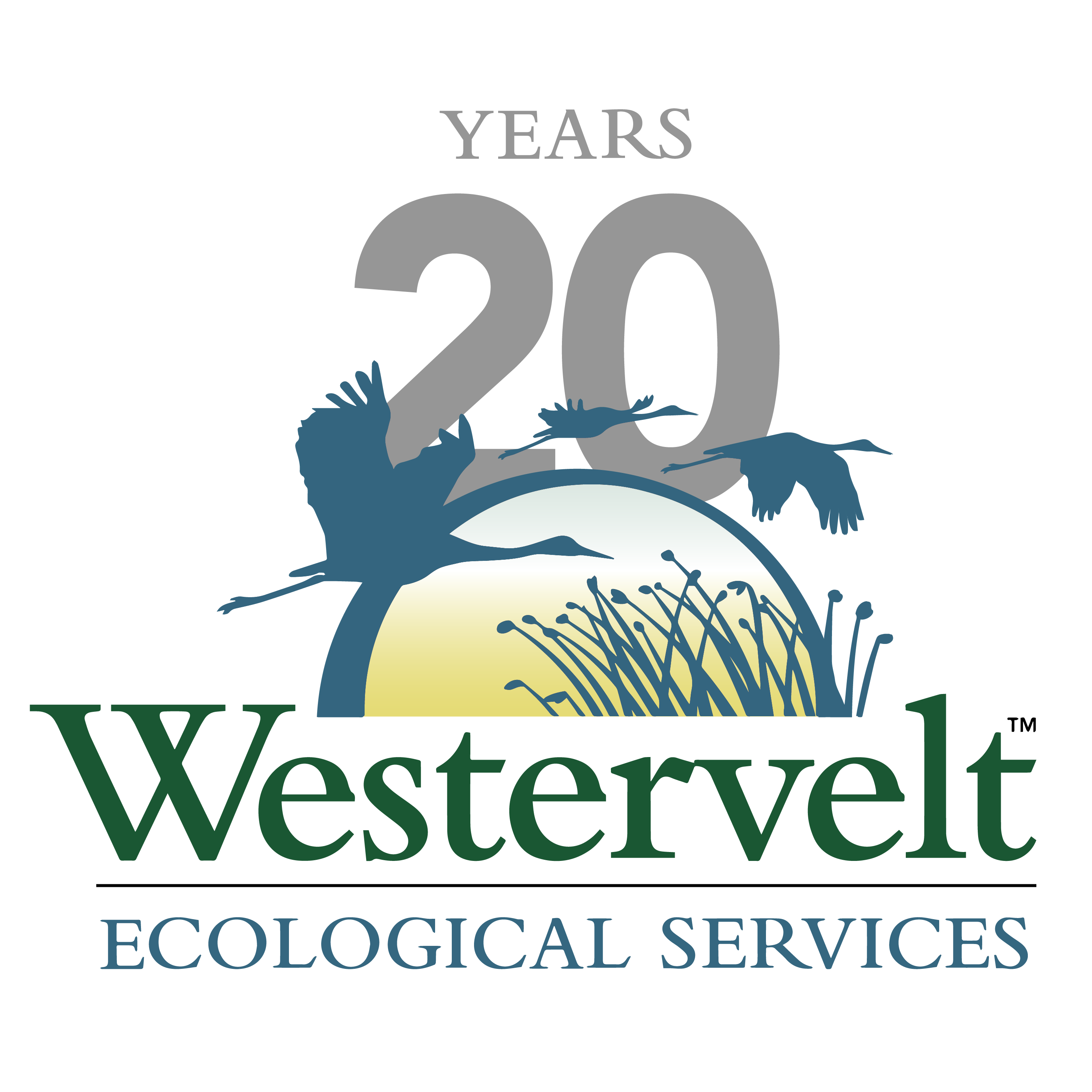 Anniversary logo.png