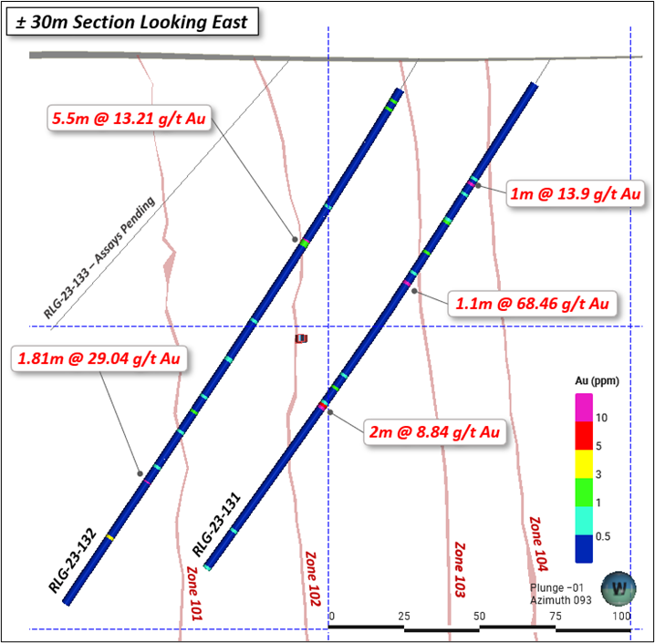 Rowan Mine drill section for Holes RLG-23-131 and RLG-23-132.