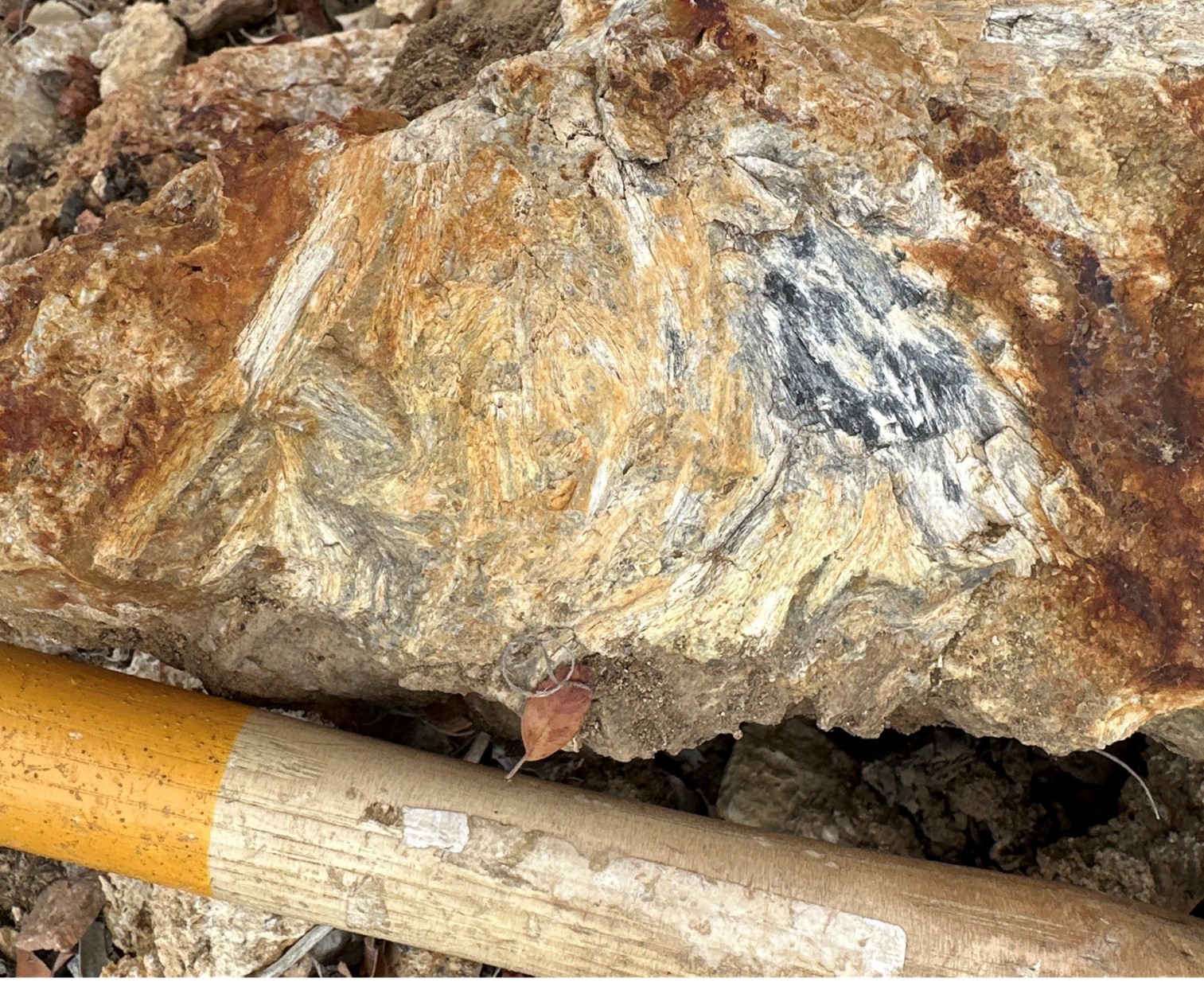 Bladed crystals of white antimony oxide (stibiconite) with grey/black cores of antimony sulphide (stibnite), from a surface exposure of high-grade antimony mineralization in a silicified breccia host rock