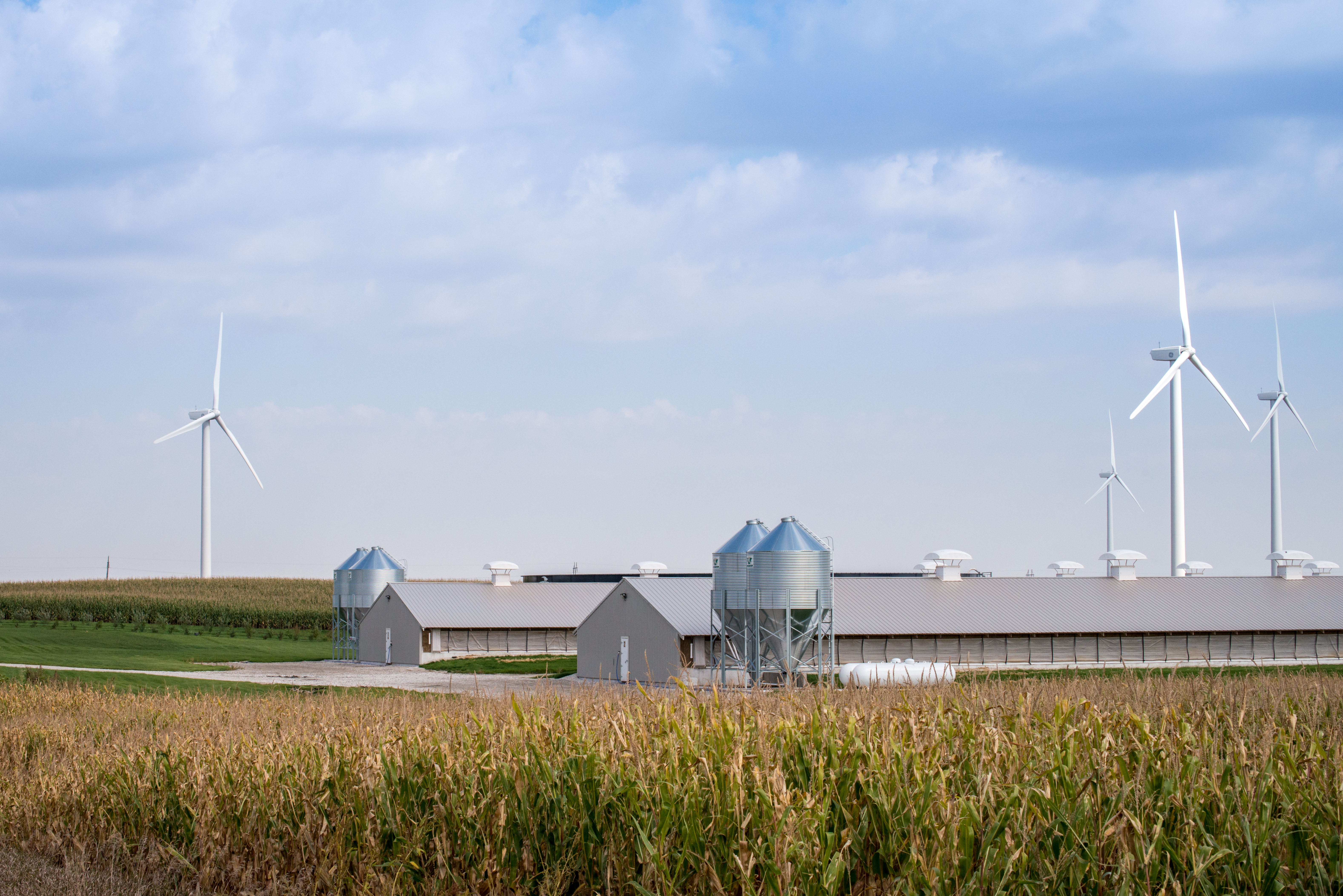 Smithfield Foods 2018 Sustainability Report[3]