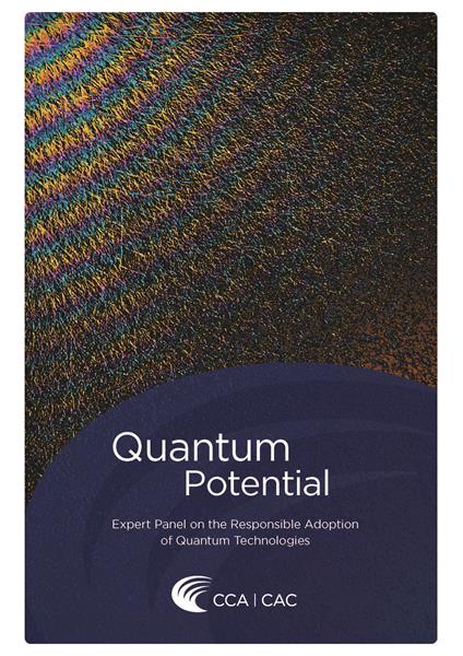 Quantum Potential
