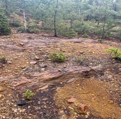 Rhyolite Cap at Wedge Mine Site