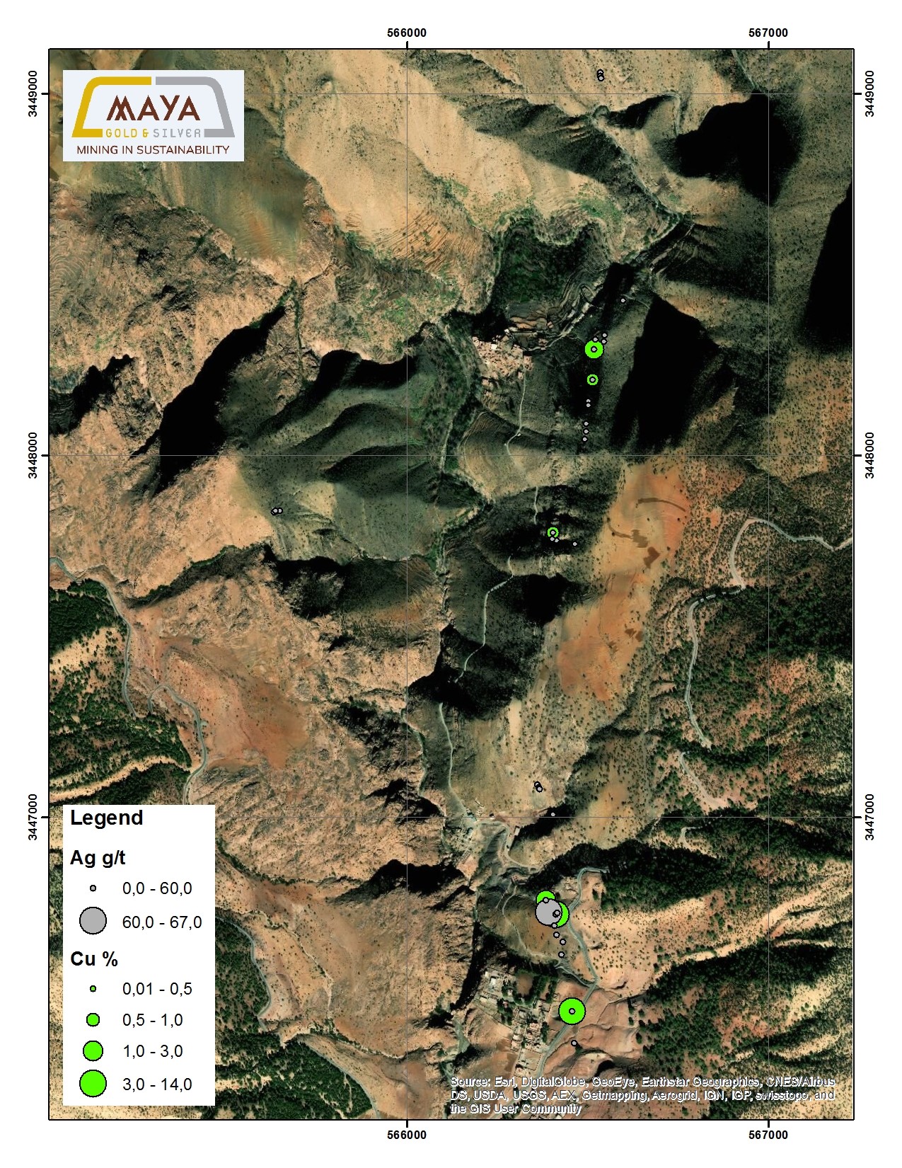 The distribution of samples showing Cu (%) and Ag (ppm) at Azegour property.