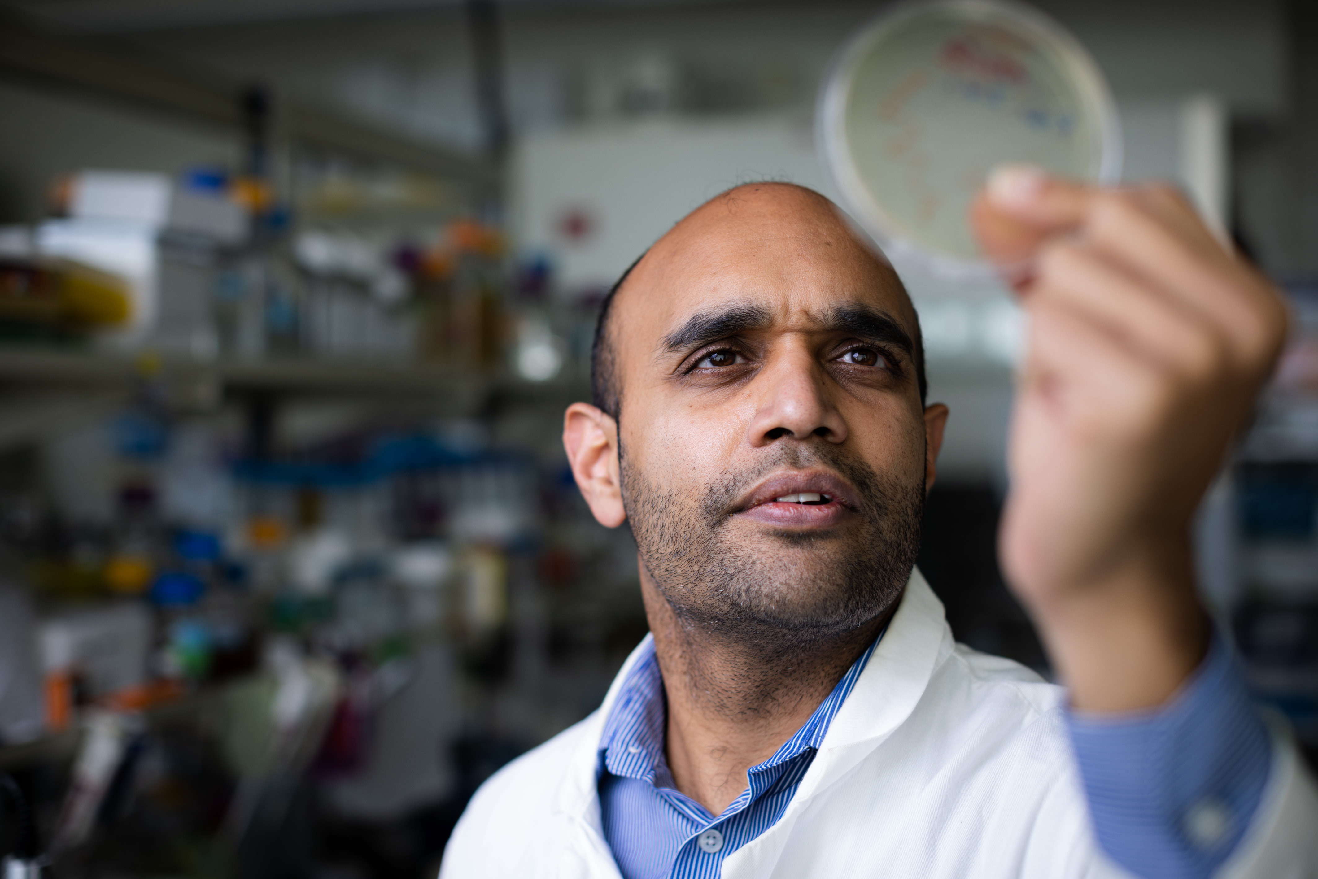 Dr. Vikram Yadav in his laboratory.