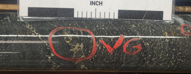 Figure 4_vg
