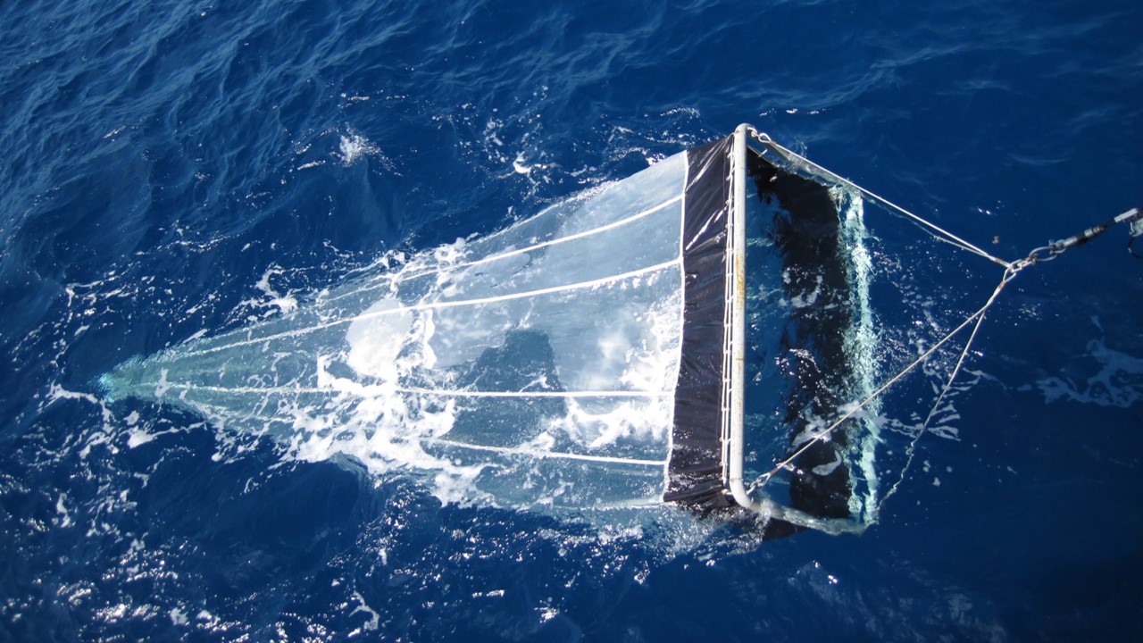 Trawl in water - Antarctica 