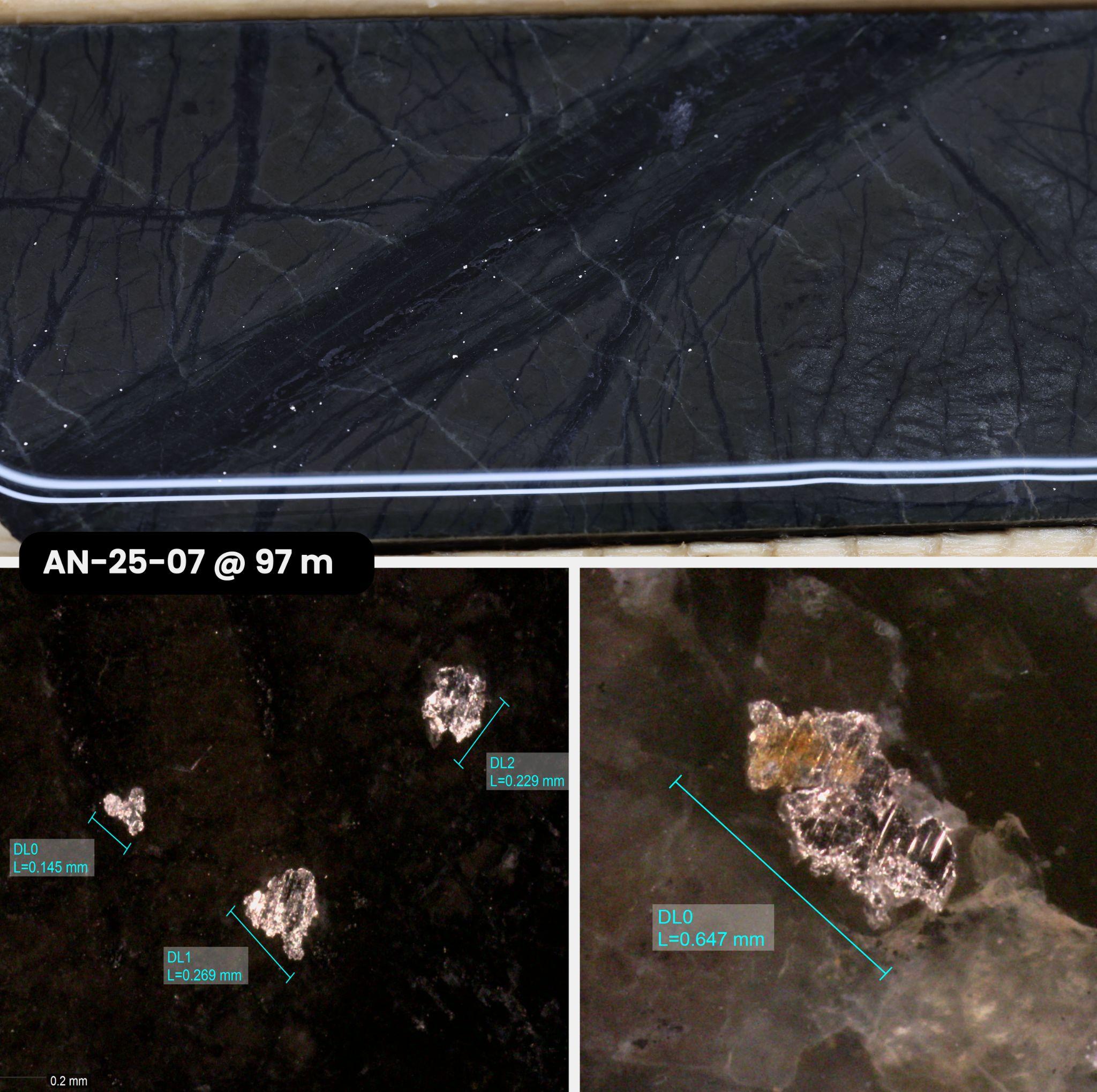 Figure 5 image