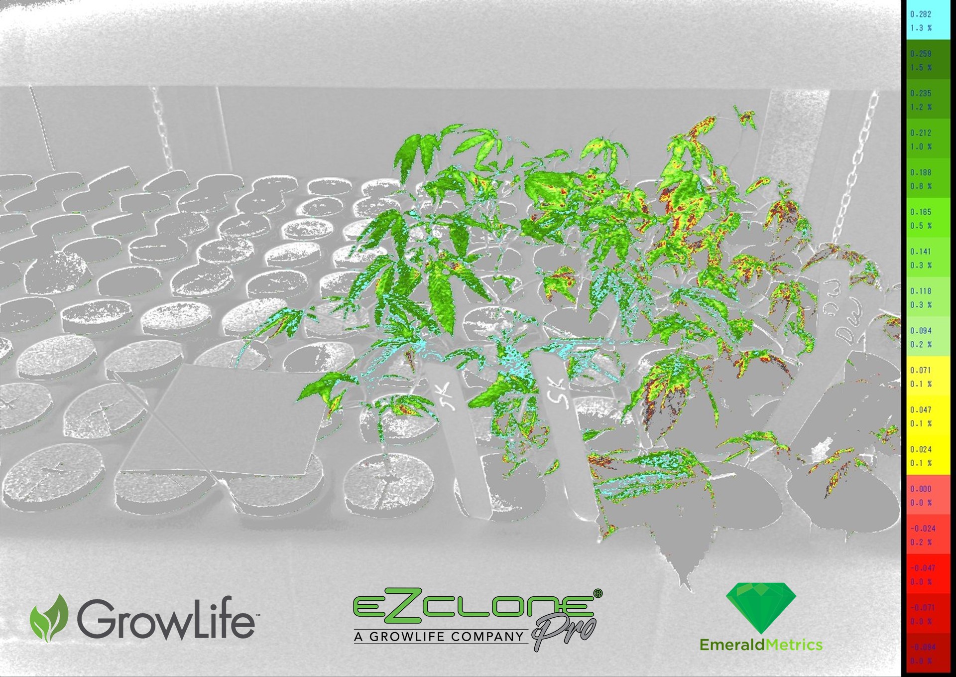 GrowLife_Emerald_EZClone