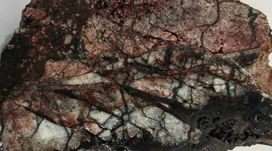 Figure 3 image