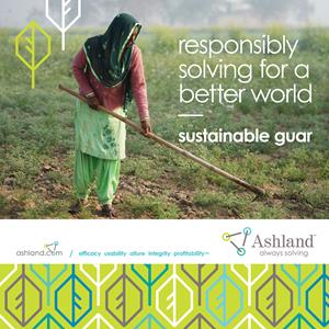 Ashland innovative supplier partnership powers sustainable, profitable growth for local farmers and small villages in India
