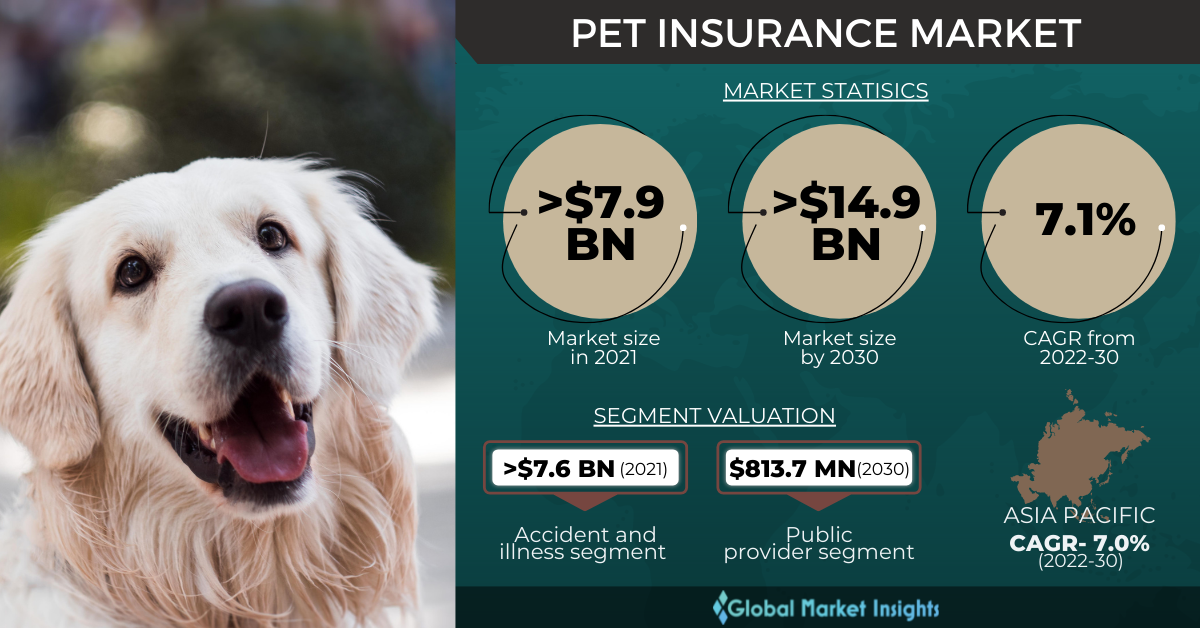 Pet insurance market will reach $14.9 billion by 2030, says 76ae2a9a 12a4 4647 86ad 76afecb3b045