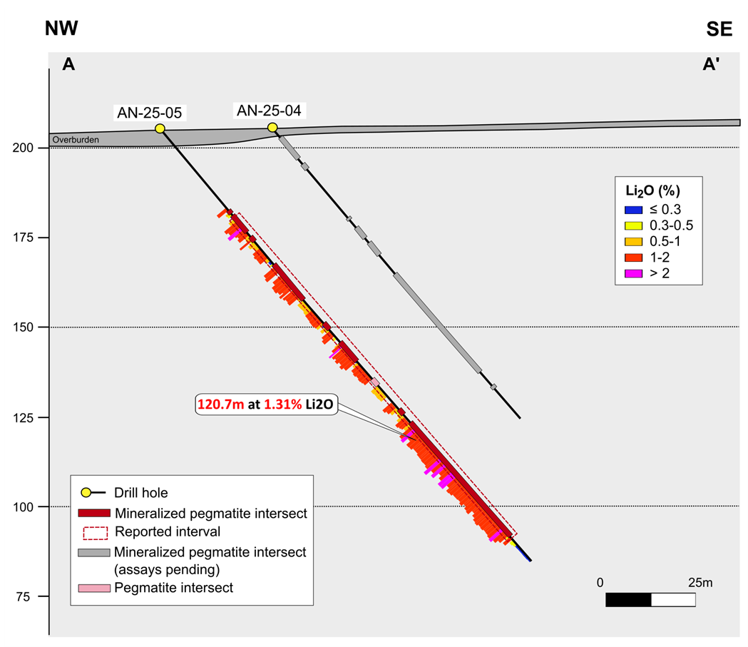 Figure 3 image