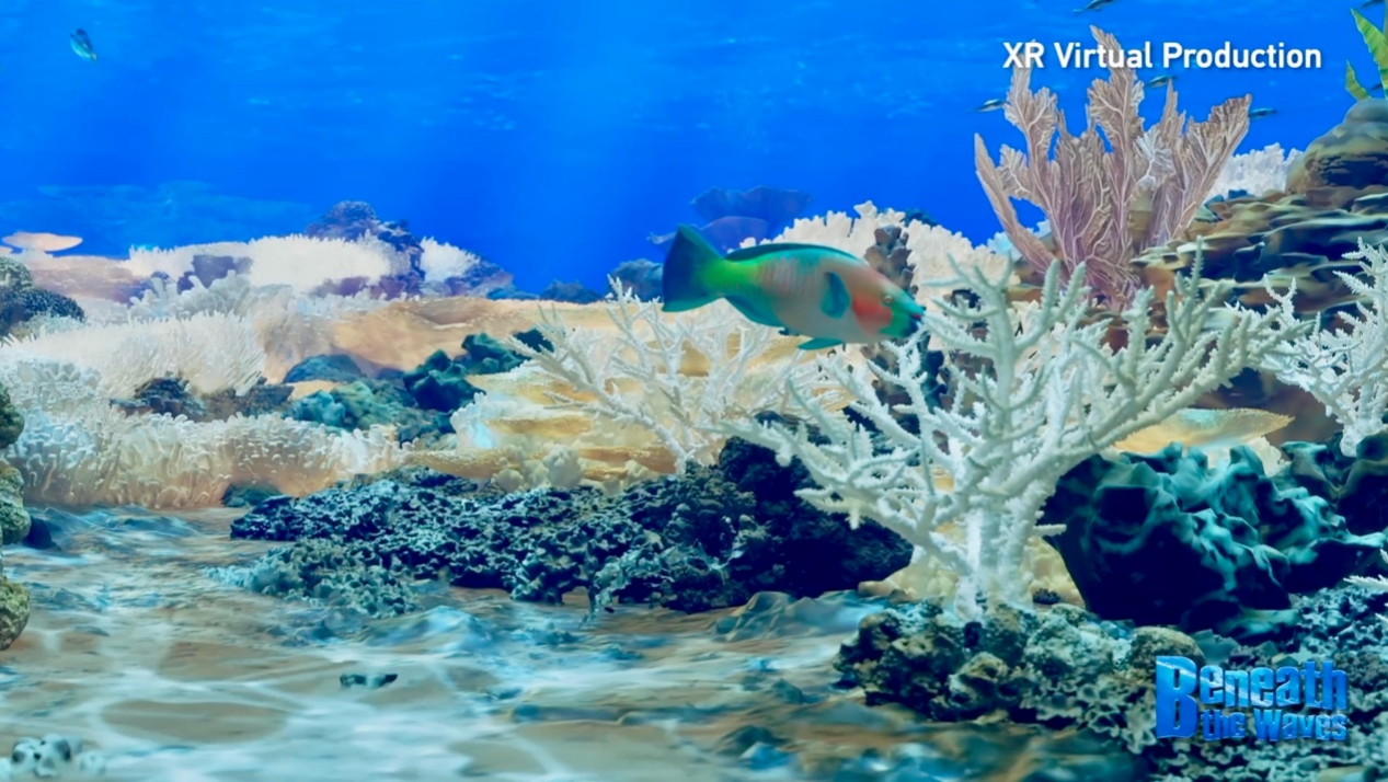 CGTN Releases Interview Video Highlighting Coral Reef Crisis in the South China Sea.png