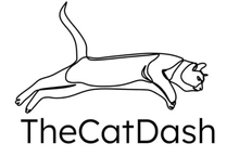 thecatdash-logo.png