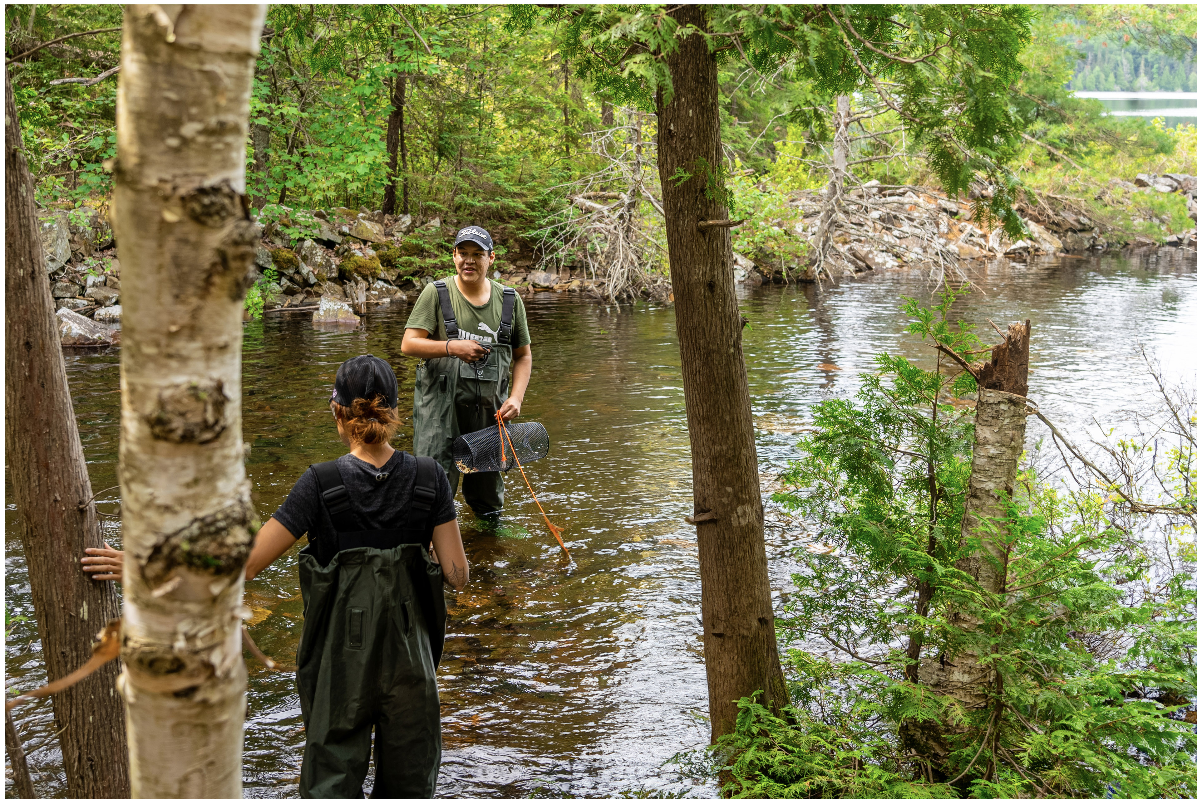 Environmental Water Interns survey a stream to build practical skills in environmental monitoring
