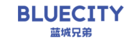 BLUECITY logo.png
