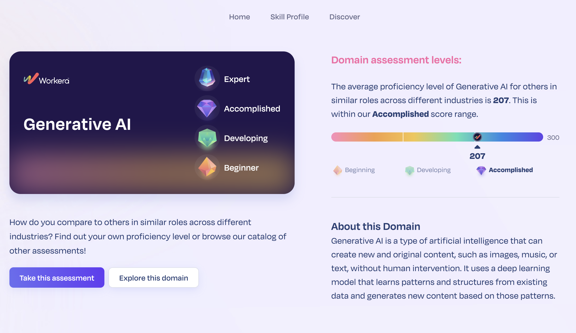 Domain Assessment Levels