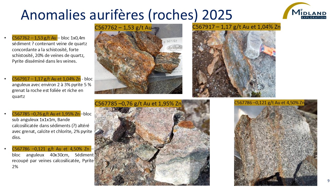 Anomalies aurifères (roches) 2025