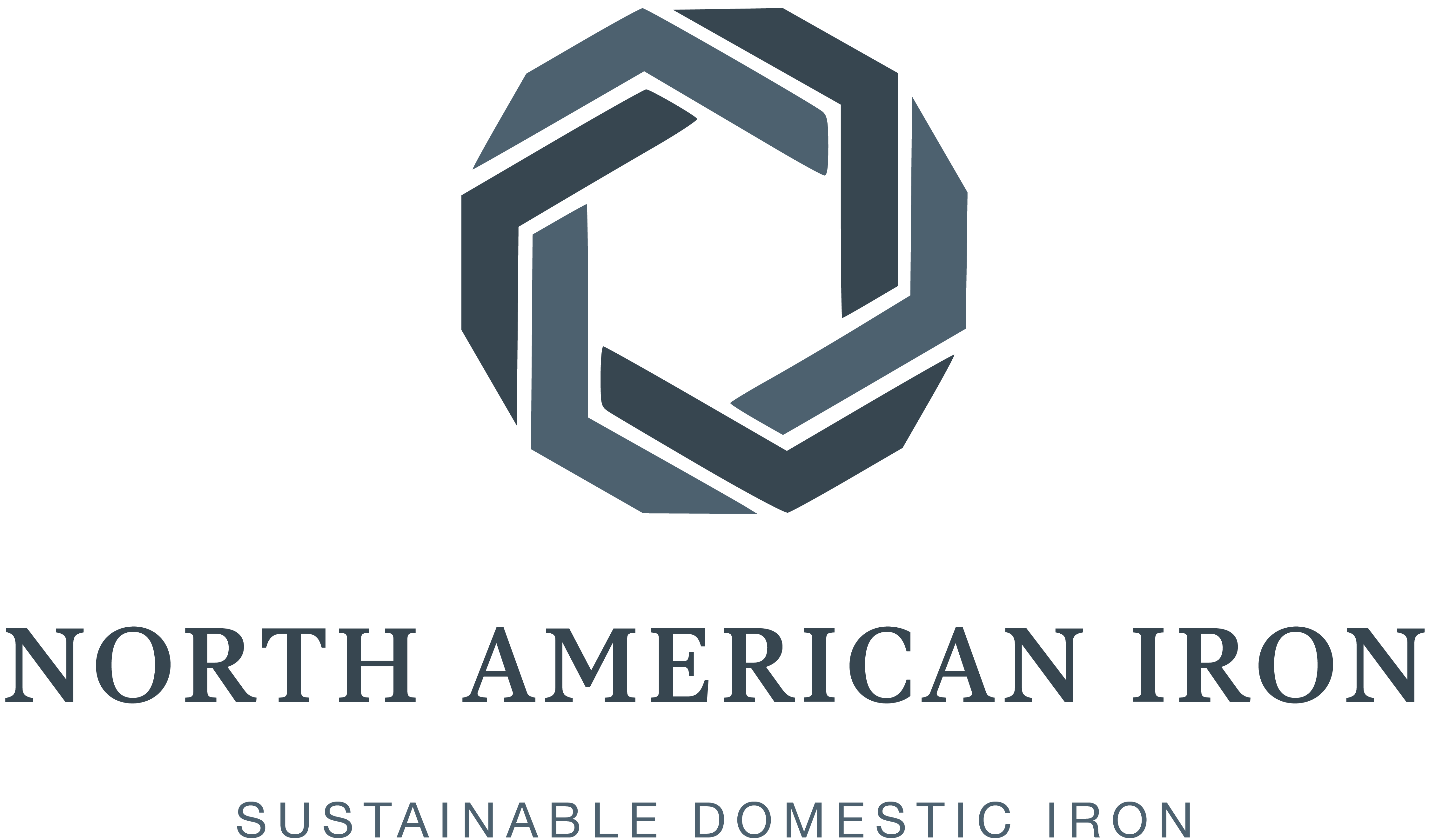 Logo_NA Iron Color.png