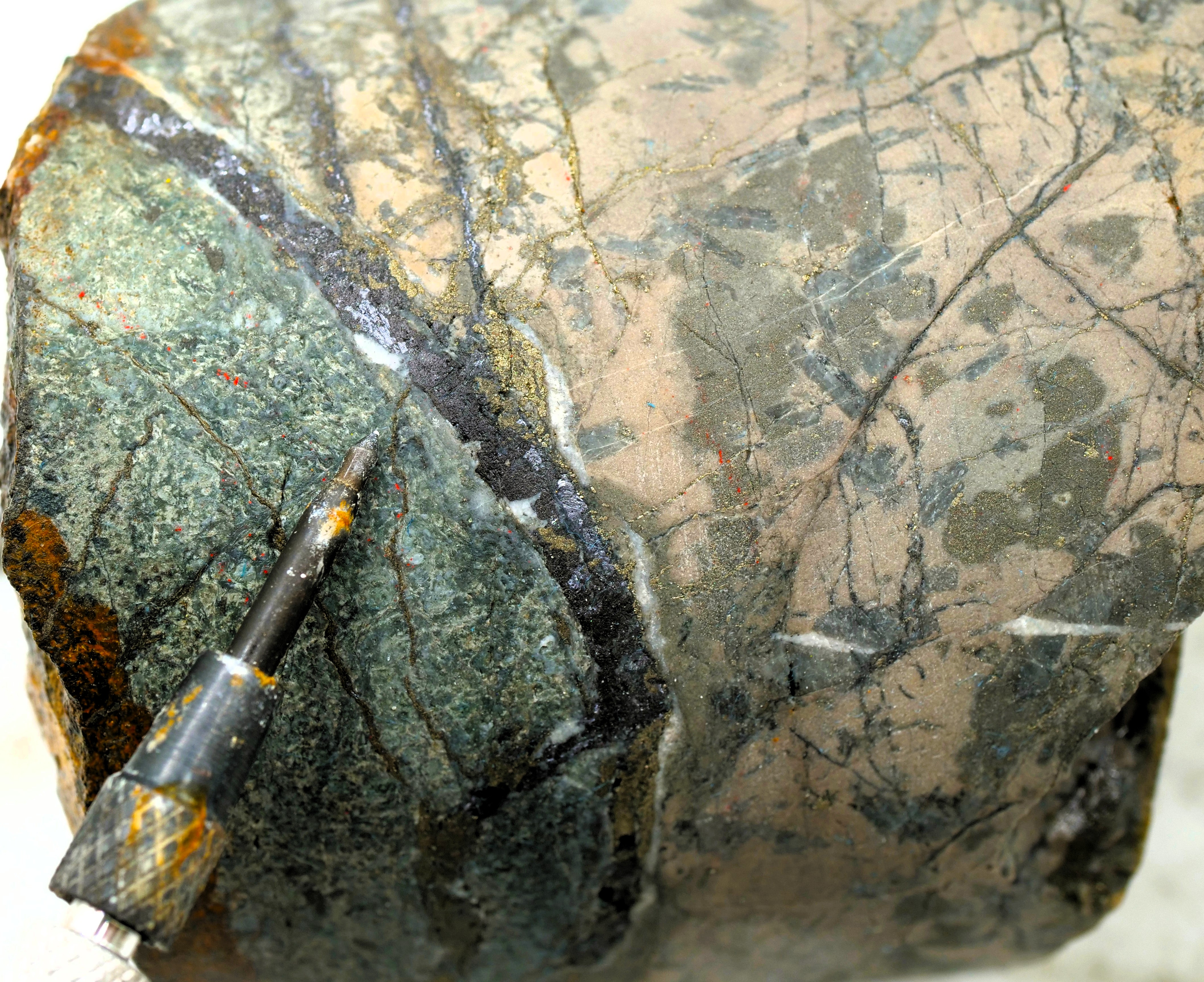 Figure 3 image