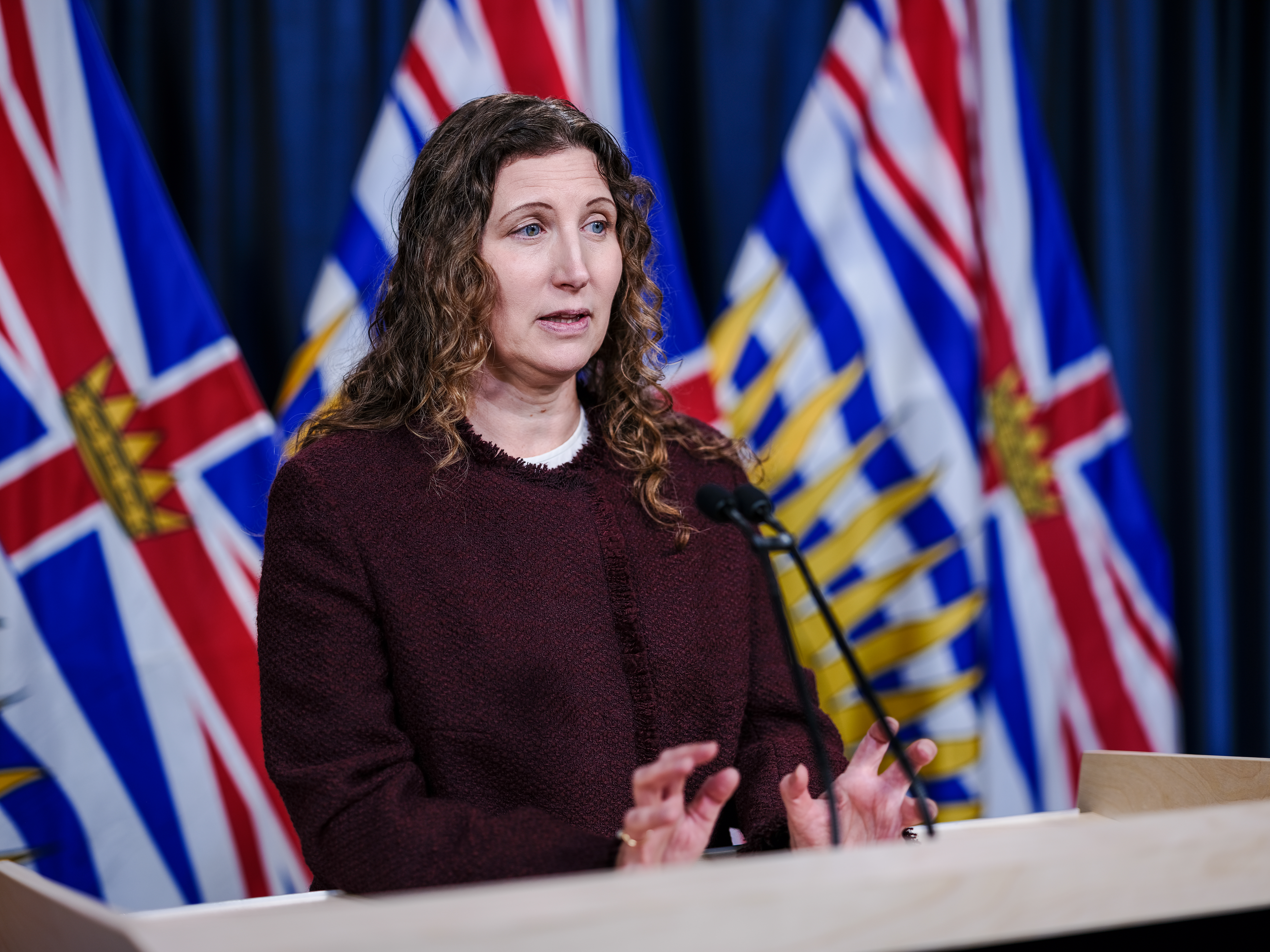 Bridget Parrish - Auditor General - press conference