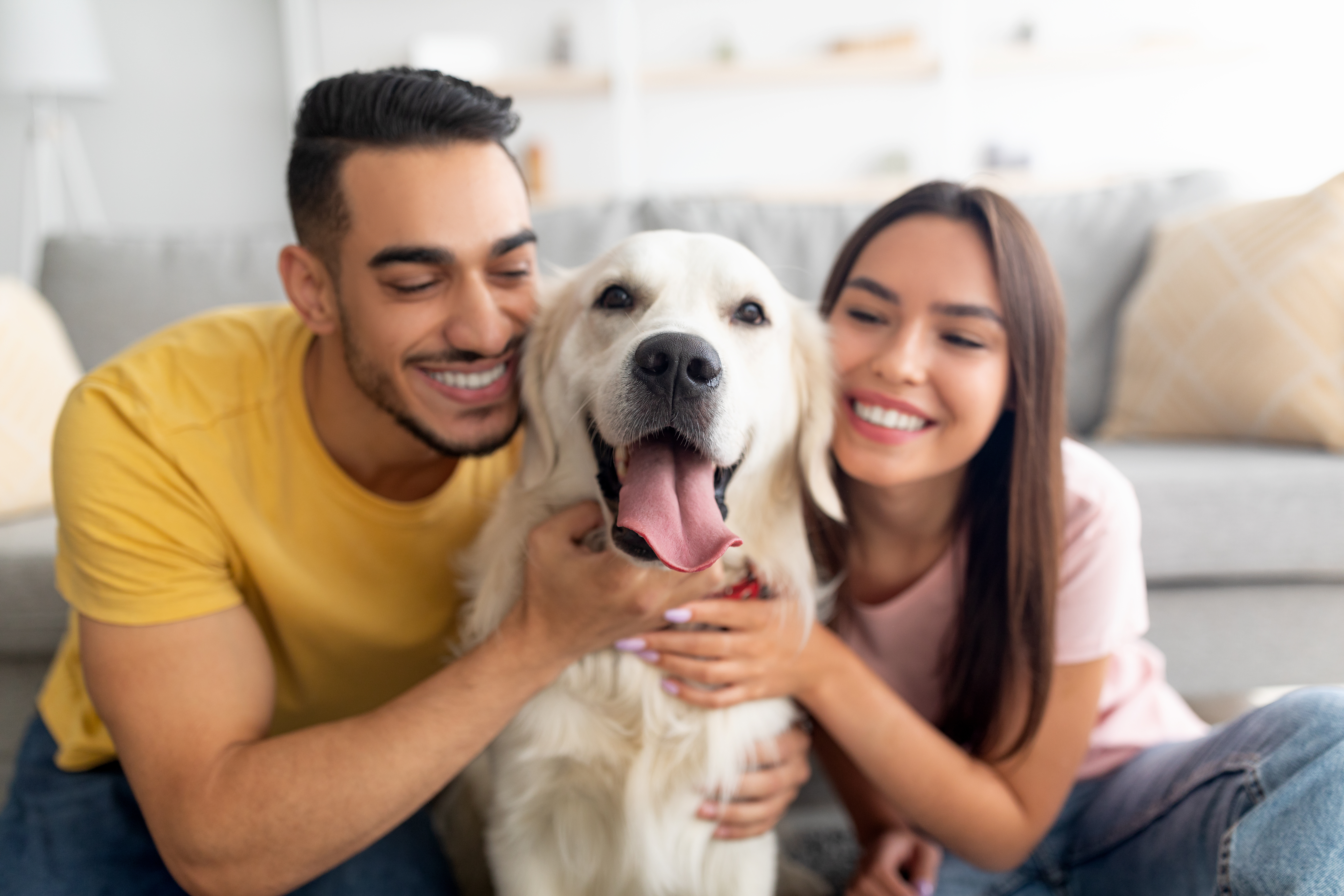 Mountain America Credit Union and Humane Society of Utah Celebrate Successful Match Challenge