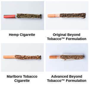 Several attributes of the advanced Beyond Tobacco™ formulation have made improvements to the TAAT™ user experience, making it even more similar to the experience of smoking a tobacco cigarette. The visible differences between the original and advanced Beyond Tobacco™ material formulations can be seen above, also compared to a standard hemp cigarette as well as a Marlboro cigarette; the world’s most popular tobacco product.