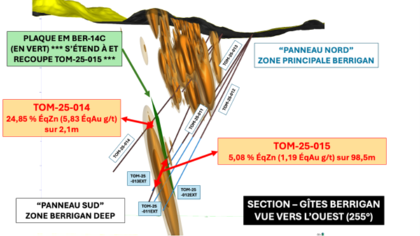 Programme de forage de phase 2 de 1 500 m de TomaGold visant à tester la zone Berrigan Deep récemment découverte