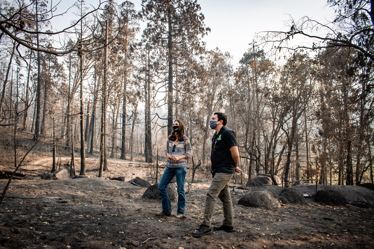 Creek Fire_Charred forest at Shaver Ranch