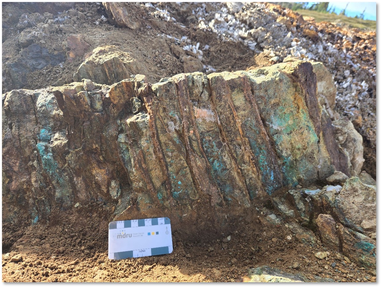 Mineralization at the Horizon Trench 