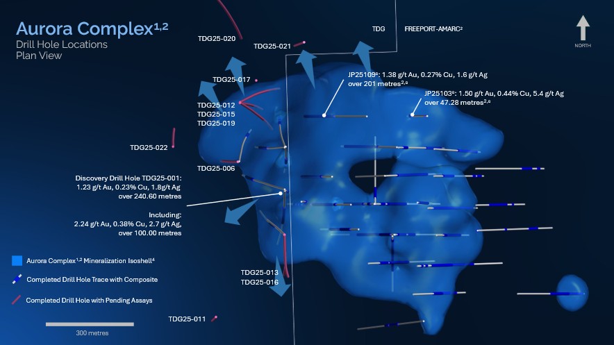 Figure 1 image