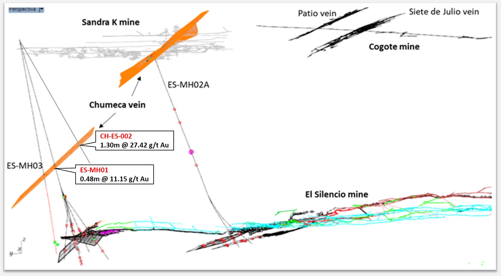 Chumeca vein