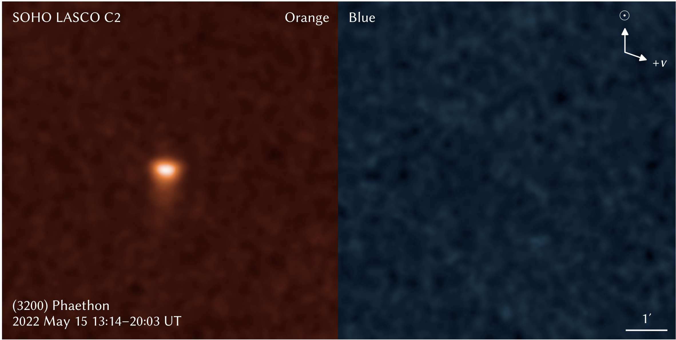 Phaethon Orange Blue