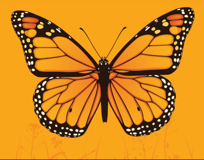 Rights-of-way form a linear network of potential habitat for Monarchs, and restoration of these corridors would be beneficial as the butterflies move through otherwise fragmented habitat along their migratory pathway, the Canadian Wildlife Federation says. Nectar provides fuel for the Monarch’s long migration to Mexico each year and wildflowers in restored meadow habitat provide this fuel.  ROW corridors, if restored, are beneficial for Monarch and hundreds of other pollinator species.#HelpthePollinators #DoMoreForWildlife #GrowitDontMowit