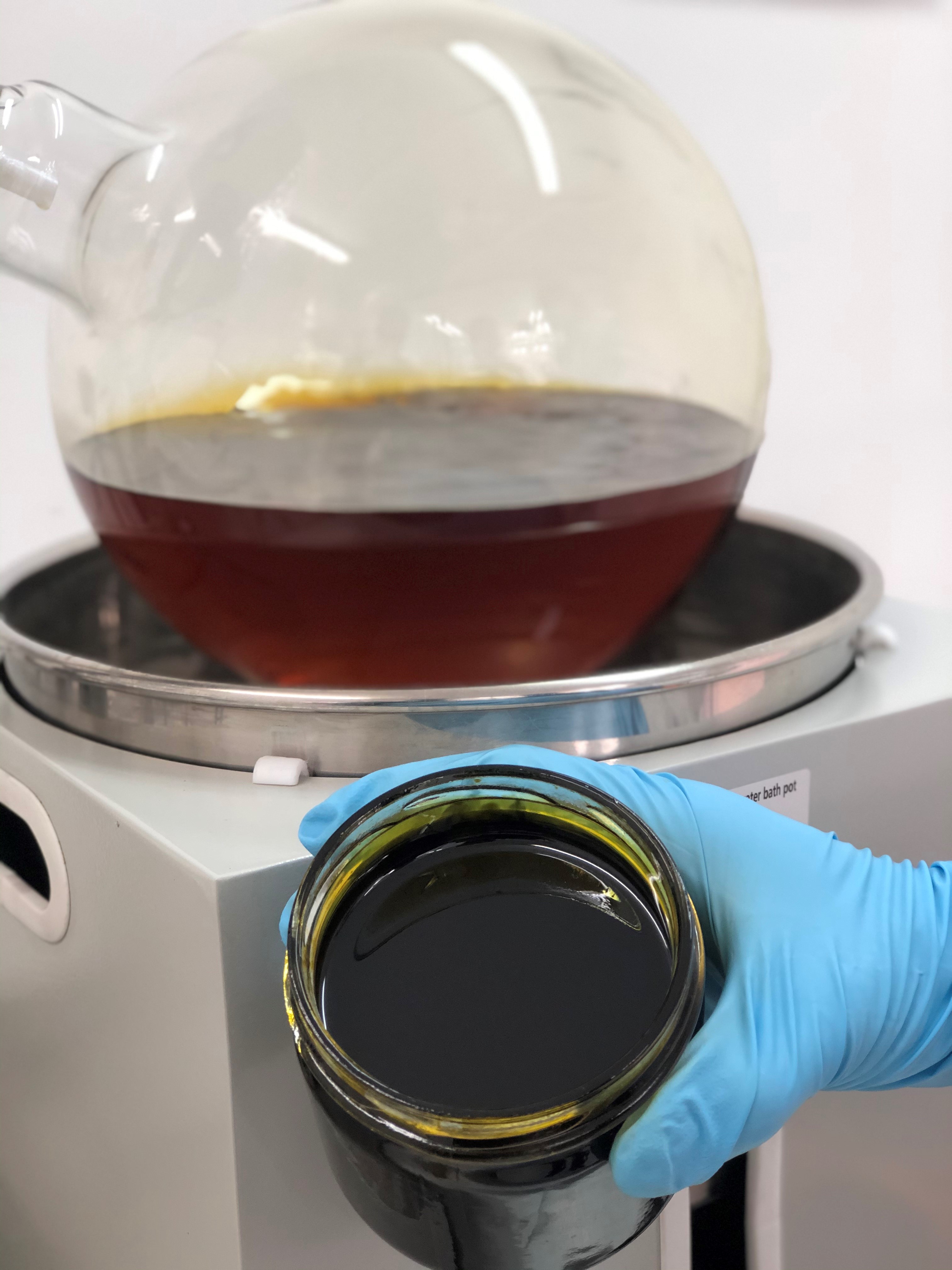 Figure 1  Cannabis Oil Extraction at Blueberries