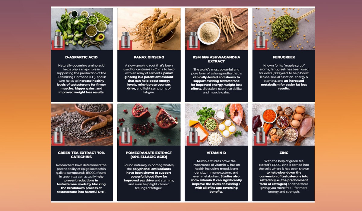 TestoPrime Ingredients
