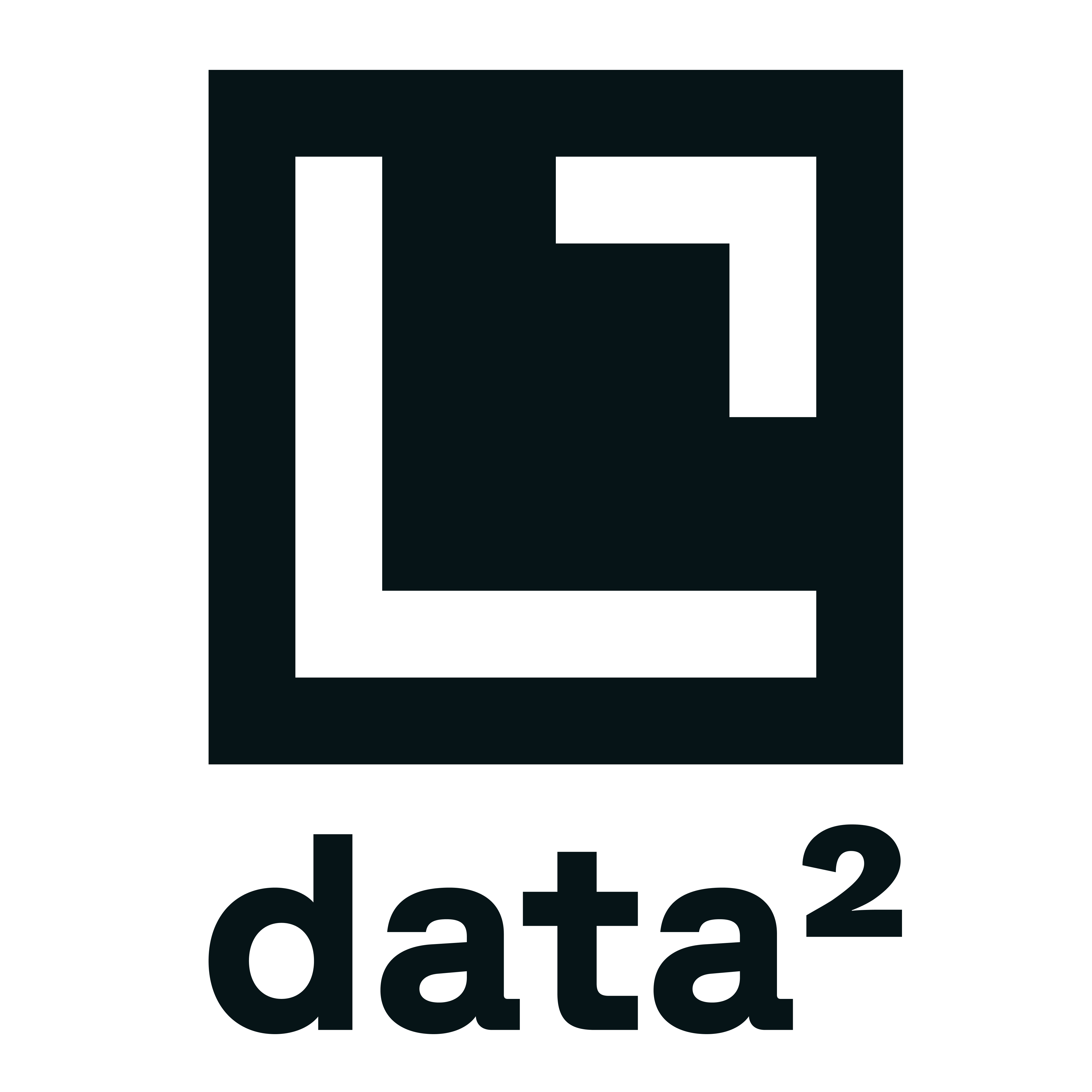 Data Squared Logo.png