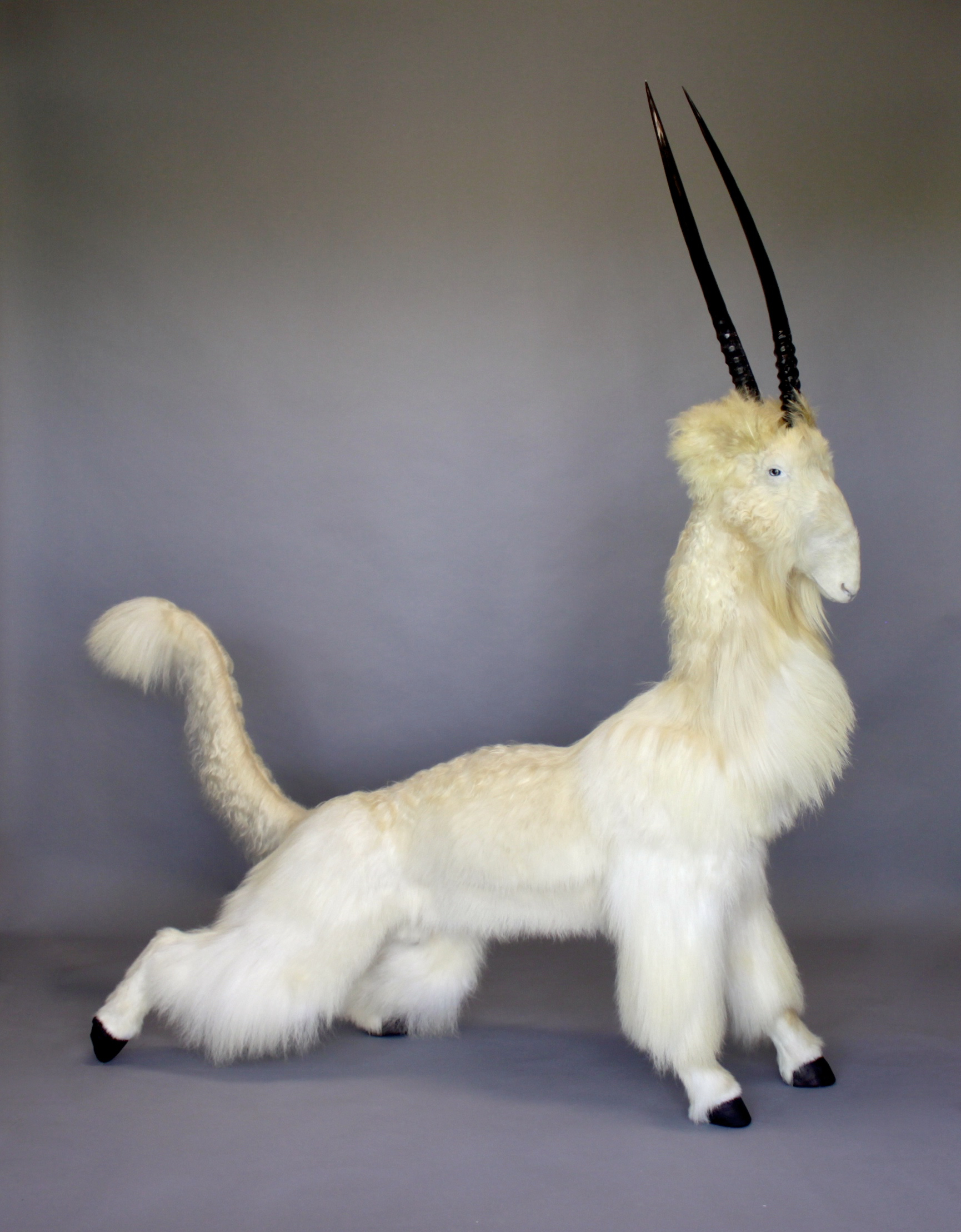 Enrique-Gomez-de-Molina_Cha-Cha-Cha