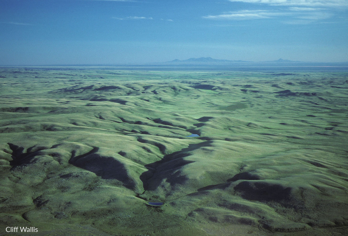 cypresshillsgrasslandsouthcwallis1lores