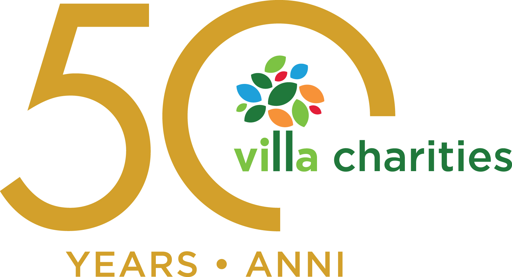 VCI 50th Anniversary Logo