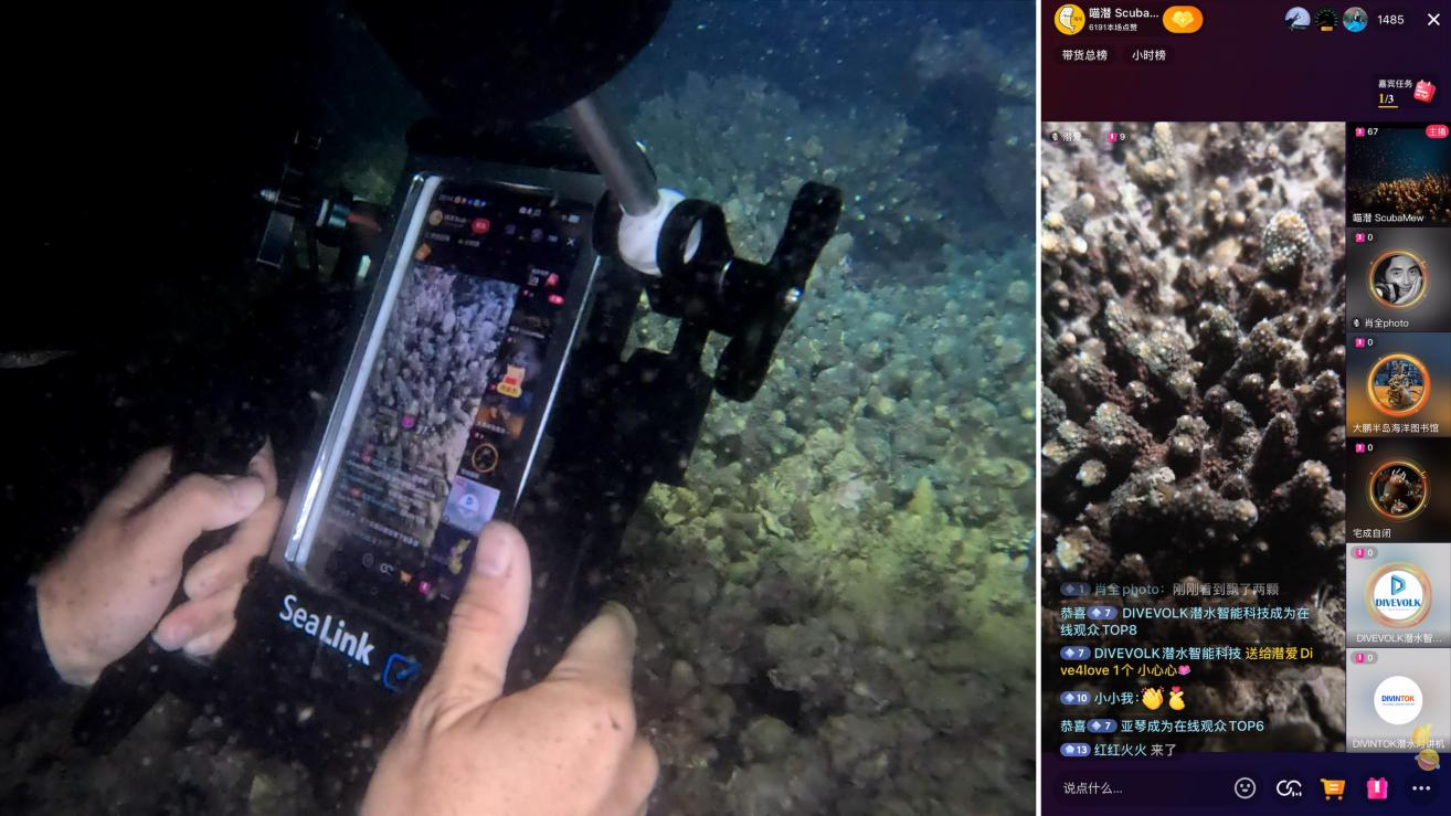 Coral spawning livestream setup in Shenzhen Dapeng Peninsula using DIVEVOLK SeaLink system