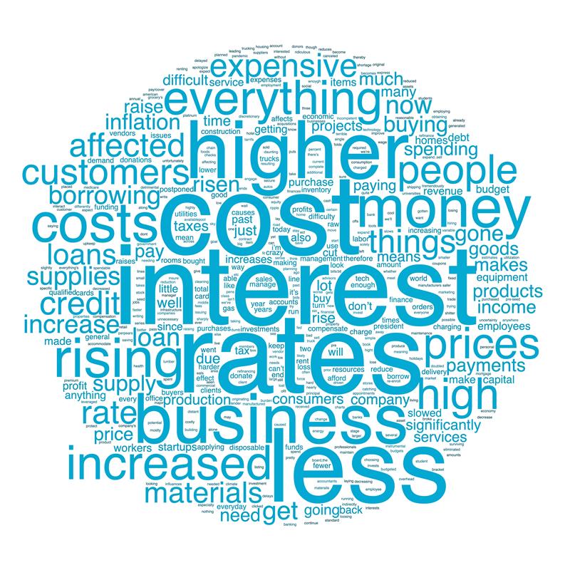 Respondents provided specific examples of how rising interest rates have affected their businesses.