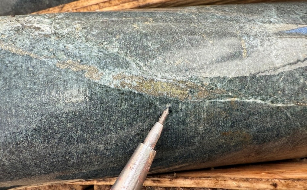 Figure 3 image