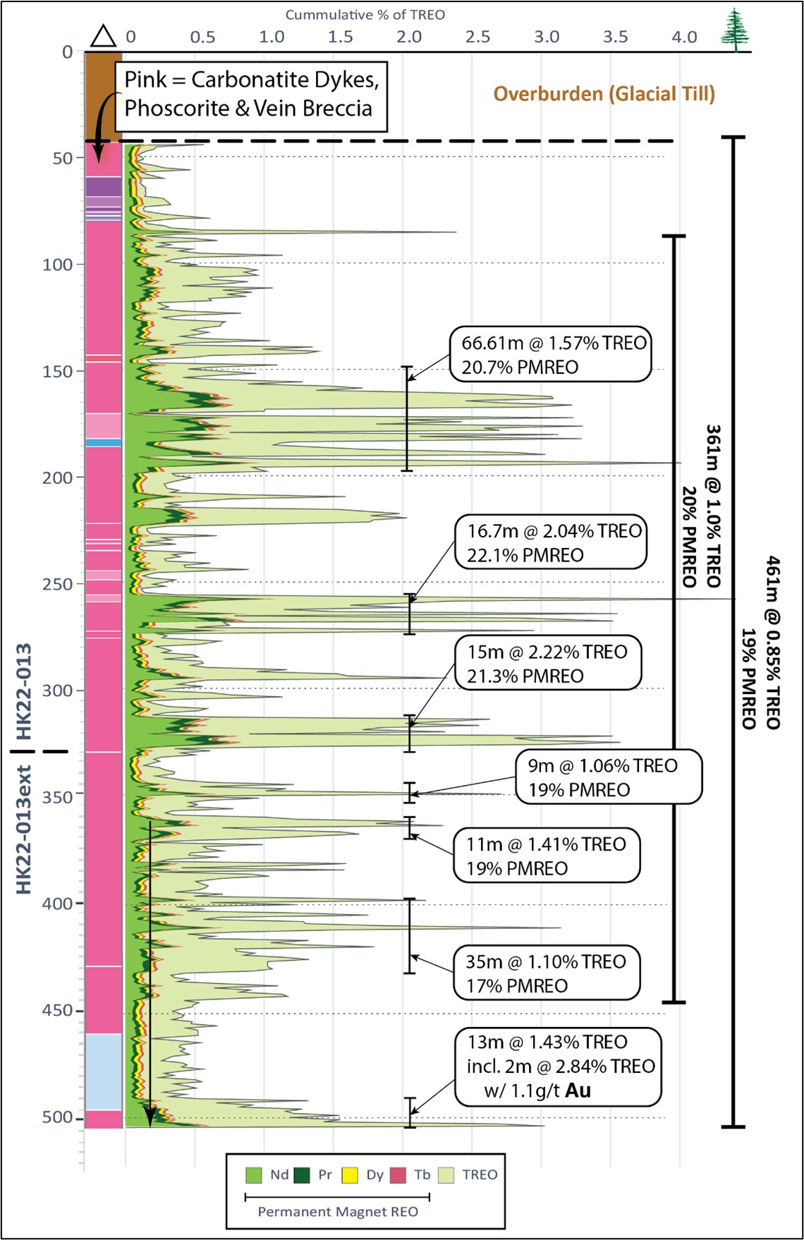 Graphic log for drill hole HK22-013, completed to 330 m in June, 2022, and extended to 504m in October. The permanent magnet REO elements (PMREO: Nd, Pr, Tb, and Dy) are shown as a cumulative proportion of total rare earth oxide (TREO), and average <percent>19%</percent> of the <percent>0.81%</percent> TREO grade over 461 m, with neodymium by far the most abundant of the four PMREO’s. Note the gold in association with the increase in TREO mineralization and PMREO content at the bottom of the hole.