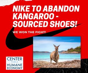 Kangaroos are not shoes